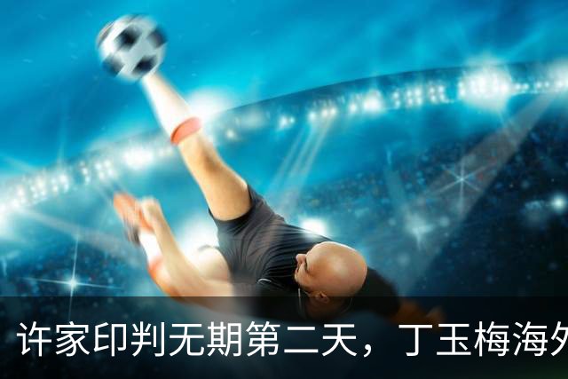 许家印判无期第二天，丁玉梅海外资产被扒干净！每月两万活成笑话